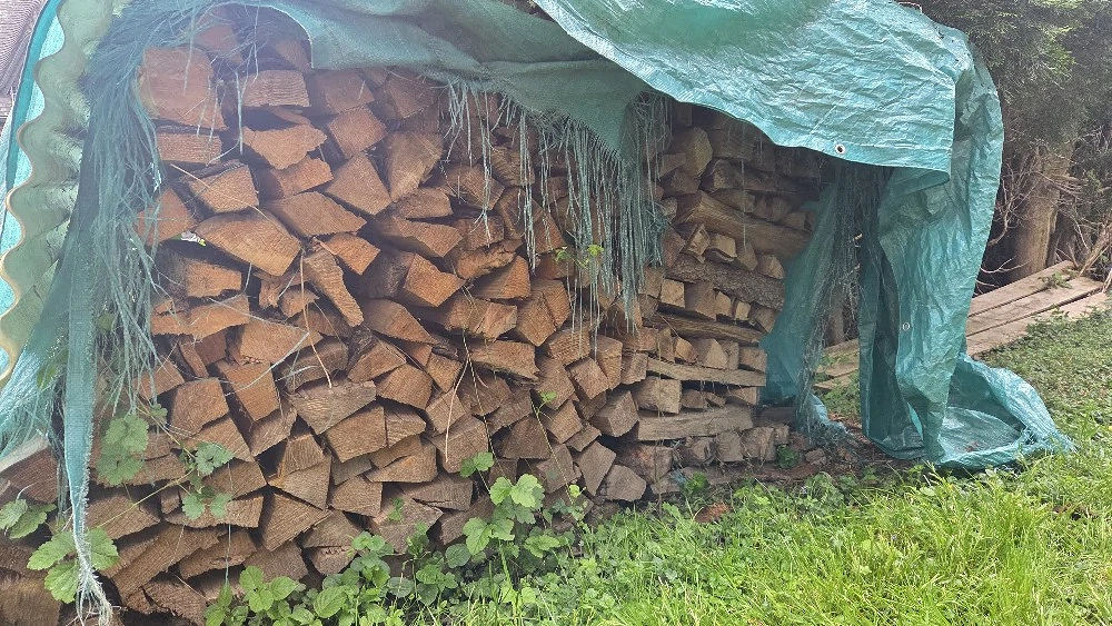 Brennholz, 50cm Scheite