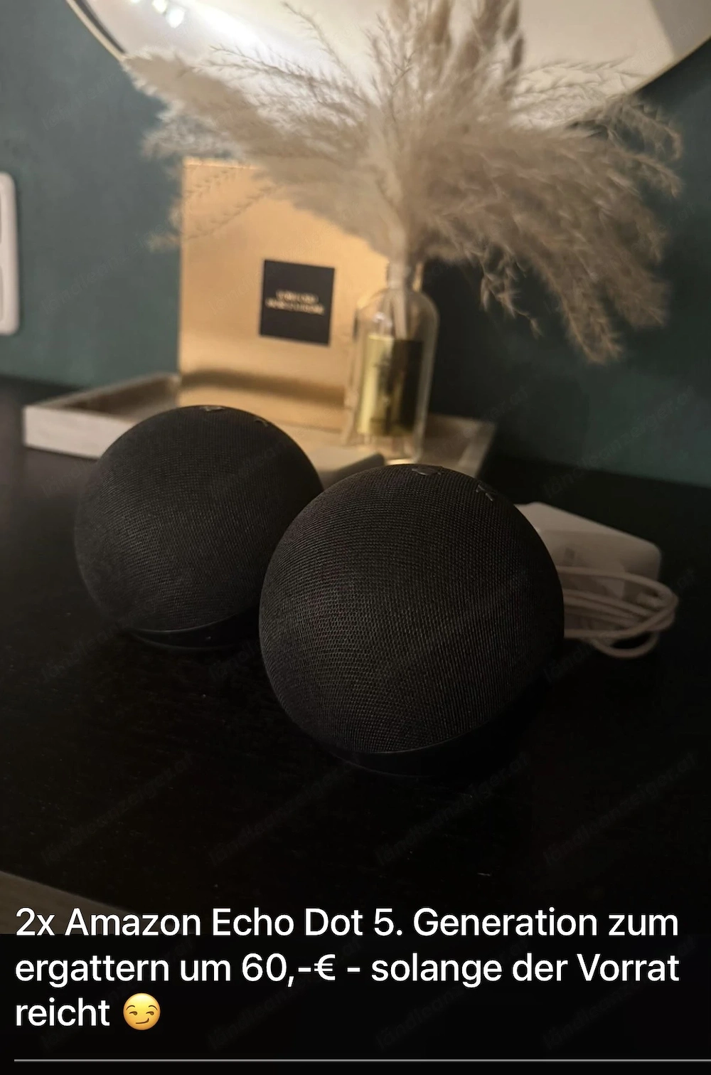 2 mal Amazon Alexa 5. Generation 