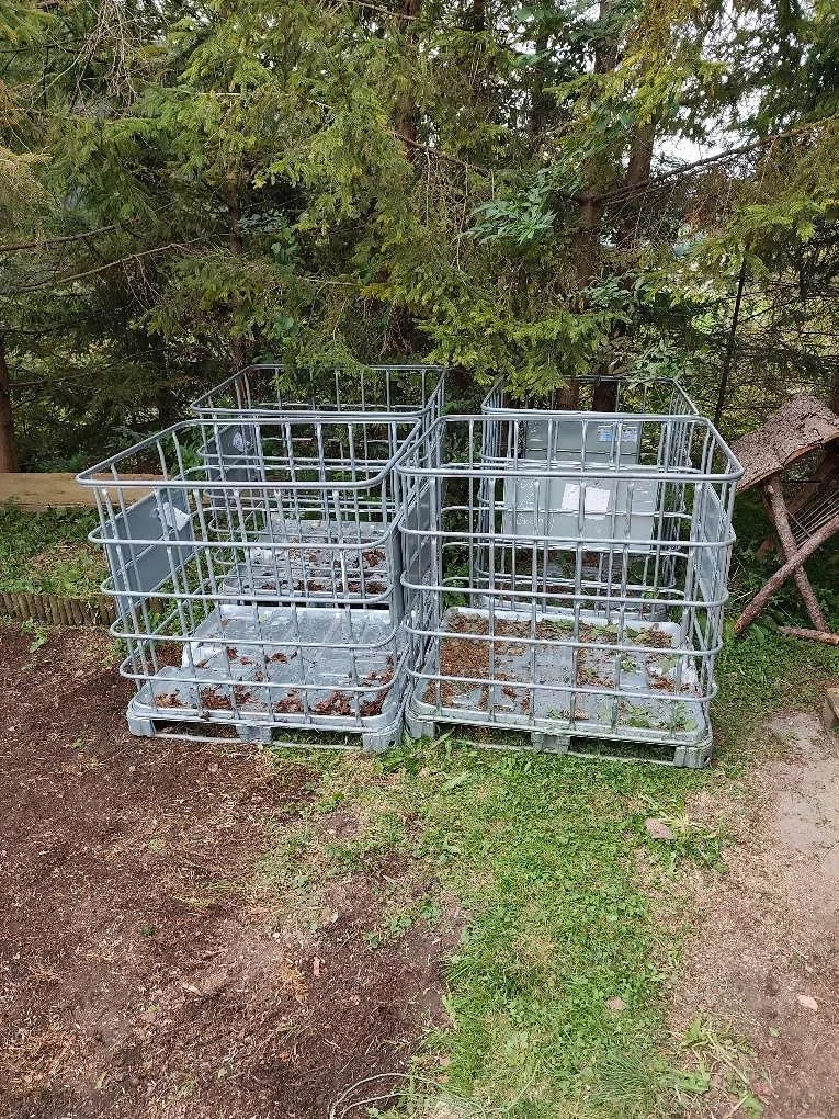Gitterboxen