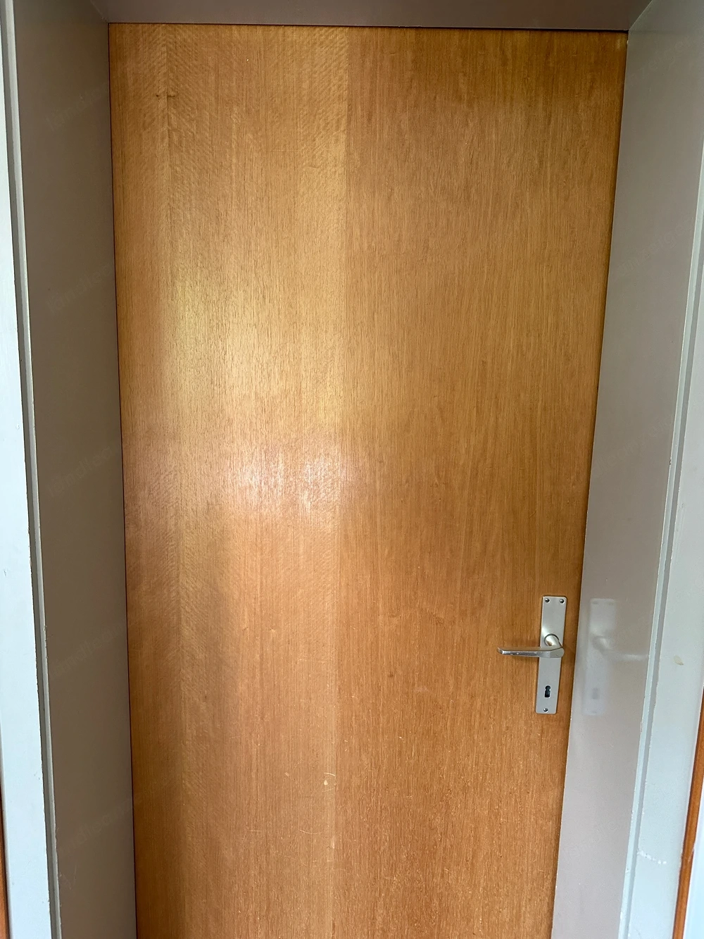 türen türenblatt holz