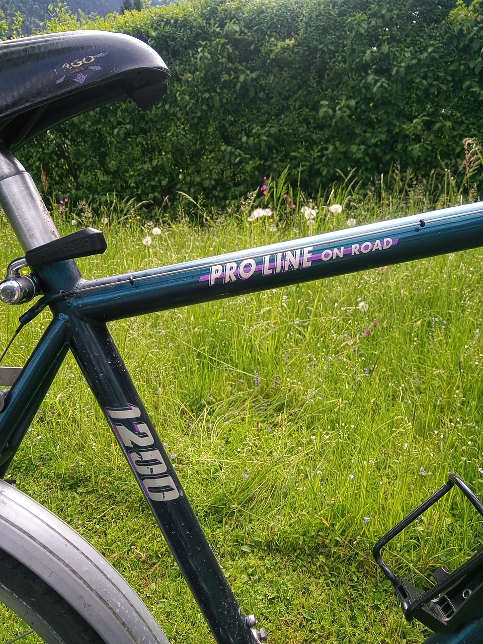 Wheeler PRO LINE 1200, 21 Gang, 26 Zoll, RG 45, Leichtlaufrad