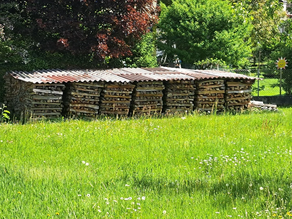 Brennholz 