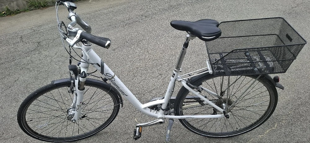 Damen Fahrrad