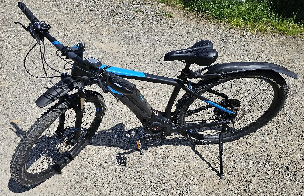 Cube Reaction Race 29 E-MTB - Bosch Performance CX - PowerPack 500 - Sehr guter Zustand