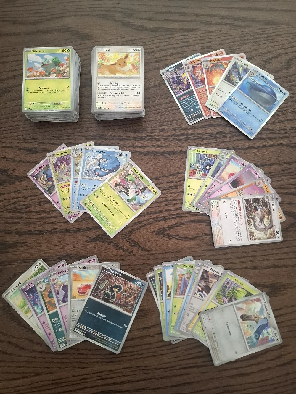 Pokemon Karten