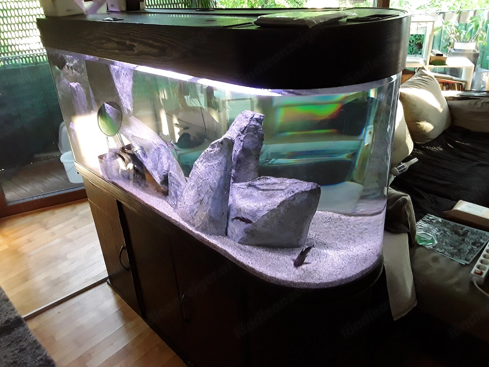 Aquarium  Raumteiler 