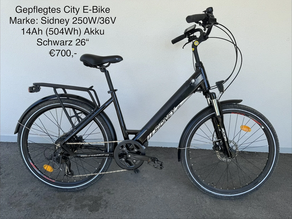 Gepflegtes City E-Bike