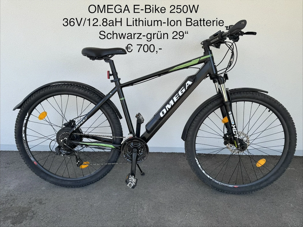 Gepflegtes Omega E-Bike