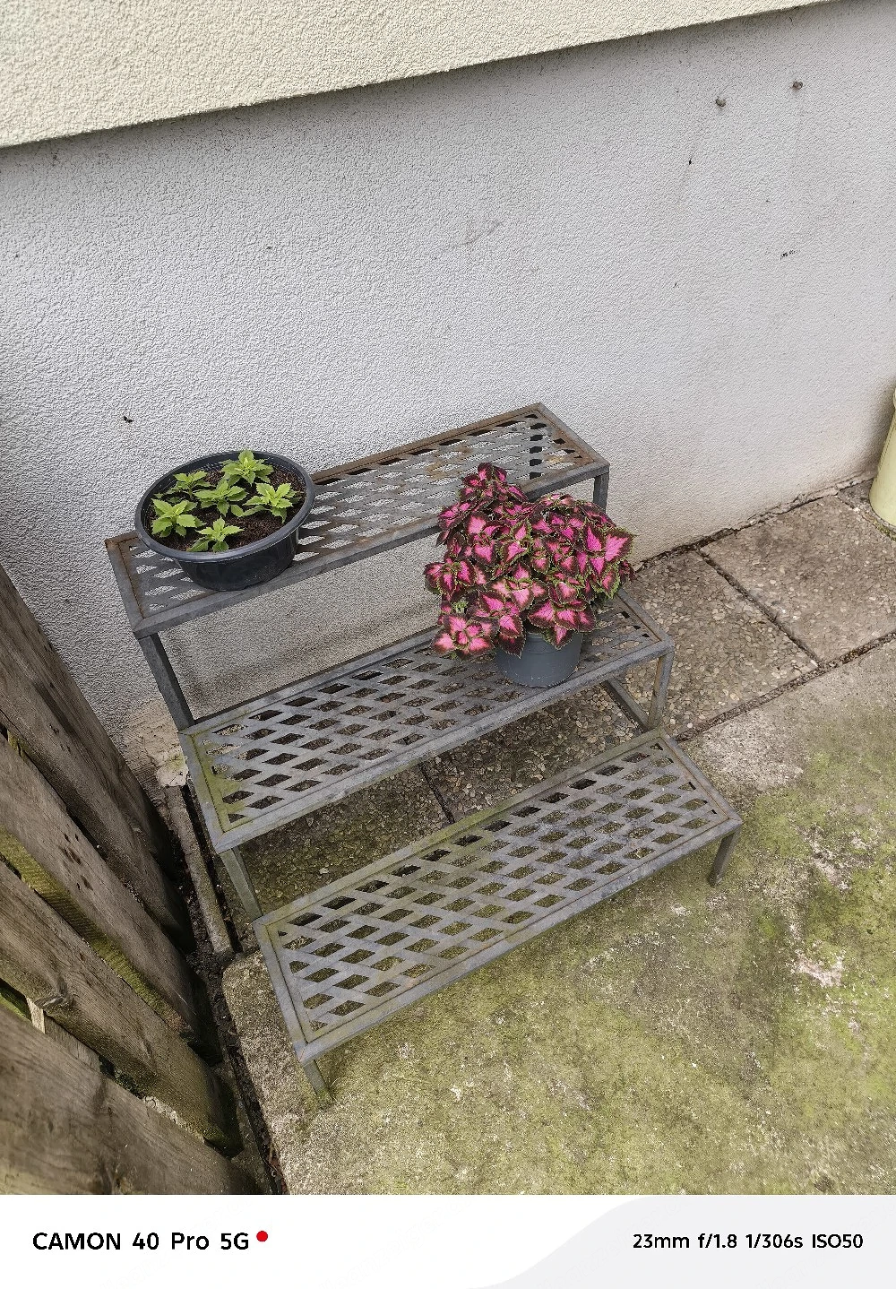 Blumen Treppe