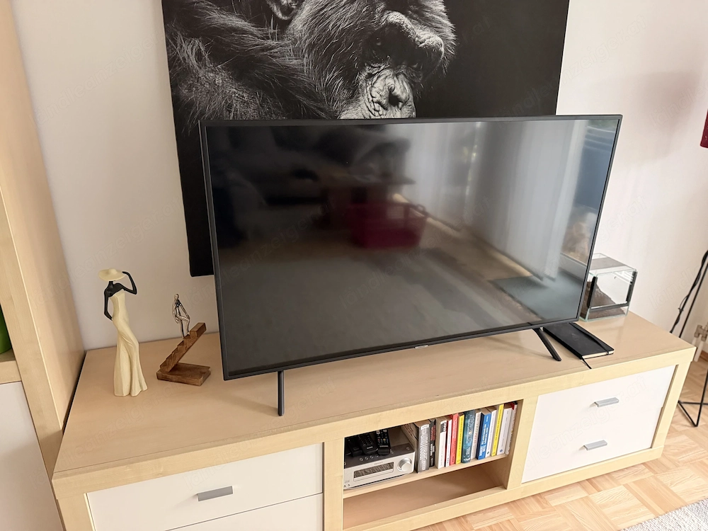 Samsung 55 Zoll TV