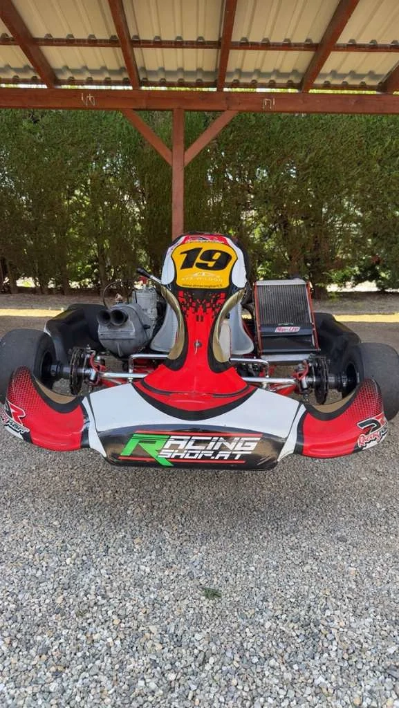 DR Racing Kart 125ccm