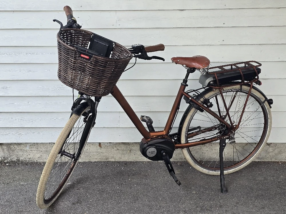 E-bike für Damen und Herren 