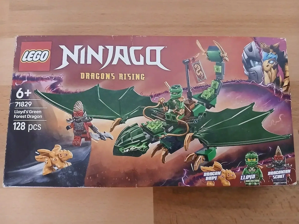 Lego Ninjago Dragons Rising 6+