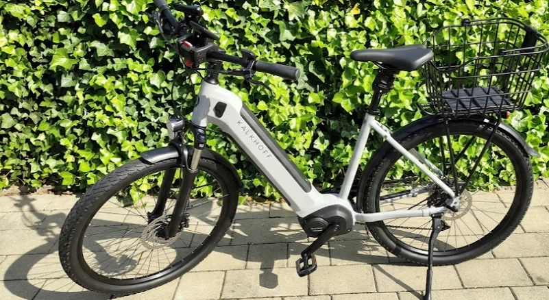 E- Bike Samtgrau 