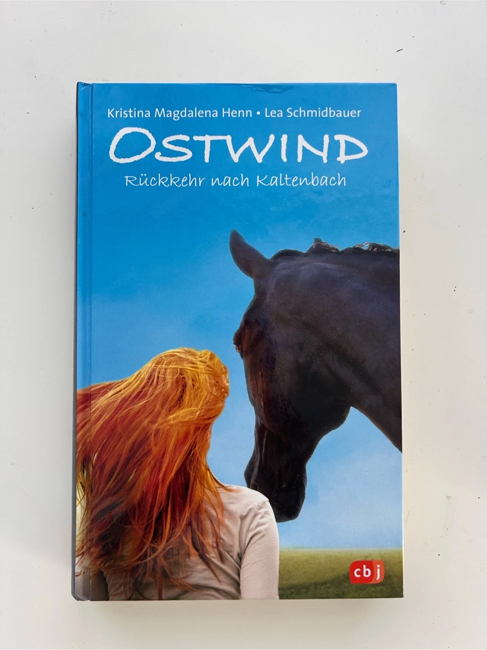 Ostwind Jugendbücher