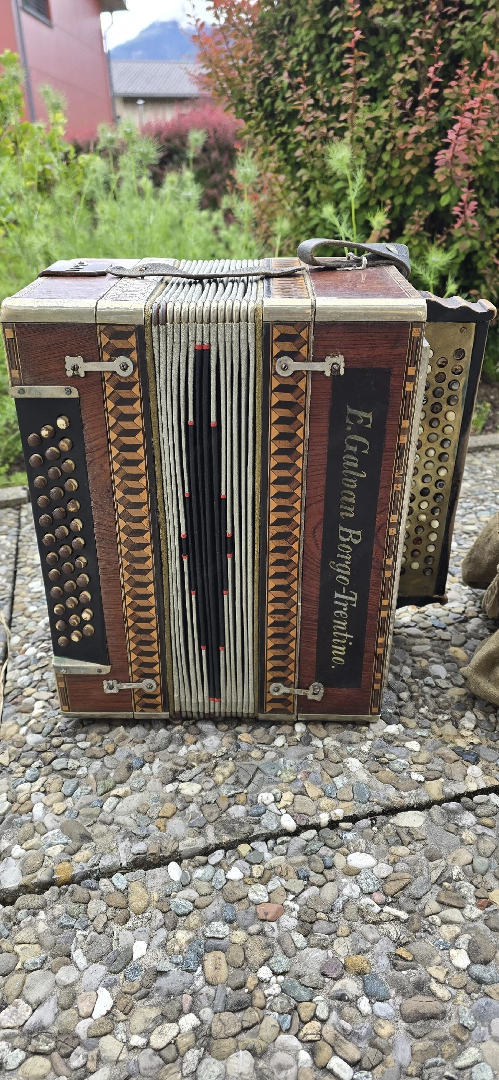 Ziehharmonika 