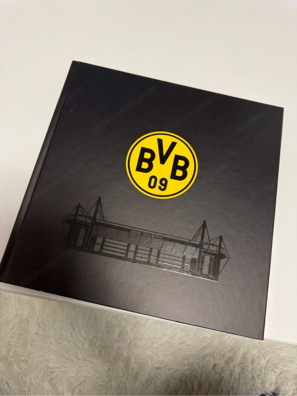 BVB Buch von der Stadiontour