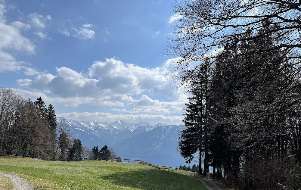 Schönes Zuhause gesucht 