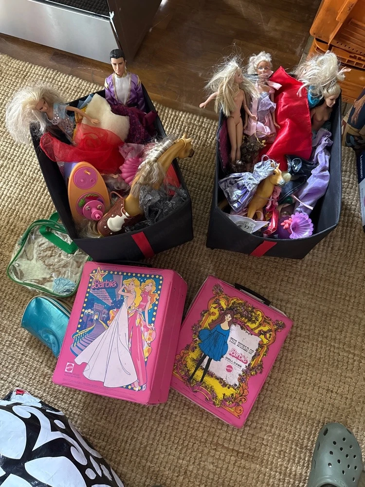 Barbie Sammlung mit vieeel Zubehor 
