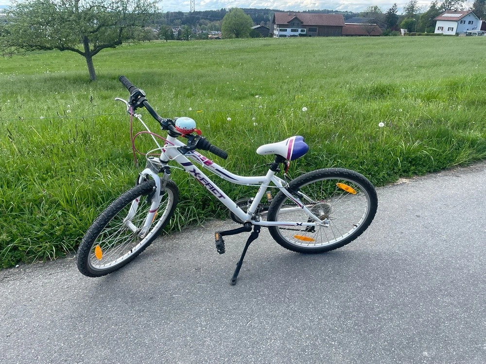 Kinderfahrrad X-fact 24"