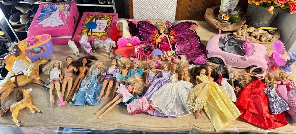 Barbie Sammlung 