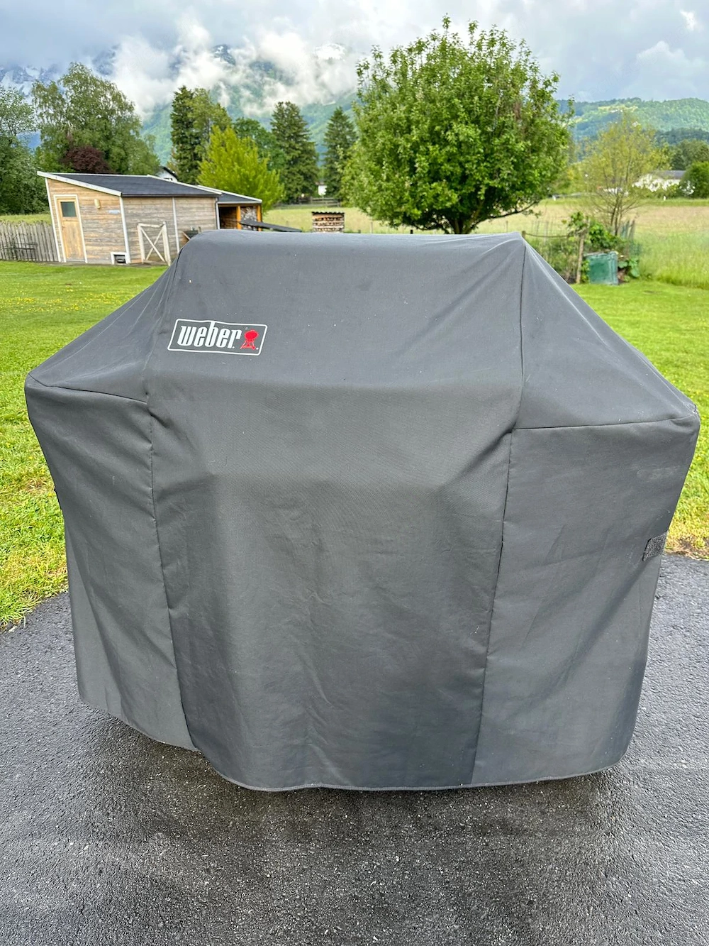 Gasgrill Weber Spirit