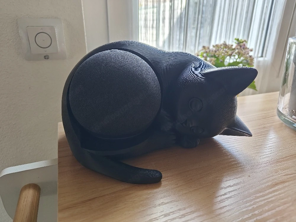 Echo Dot Ablage Katze