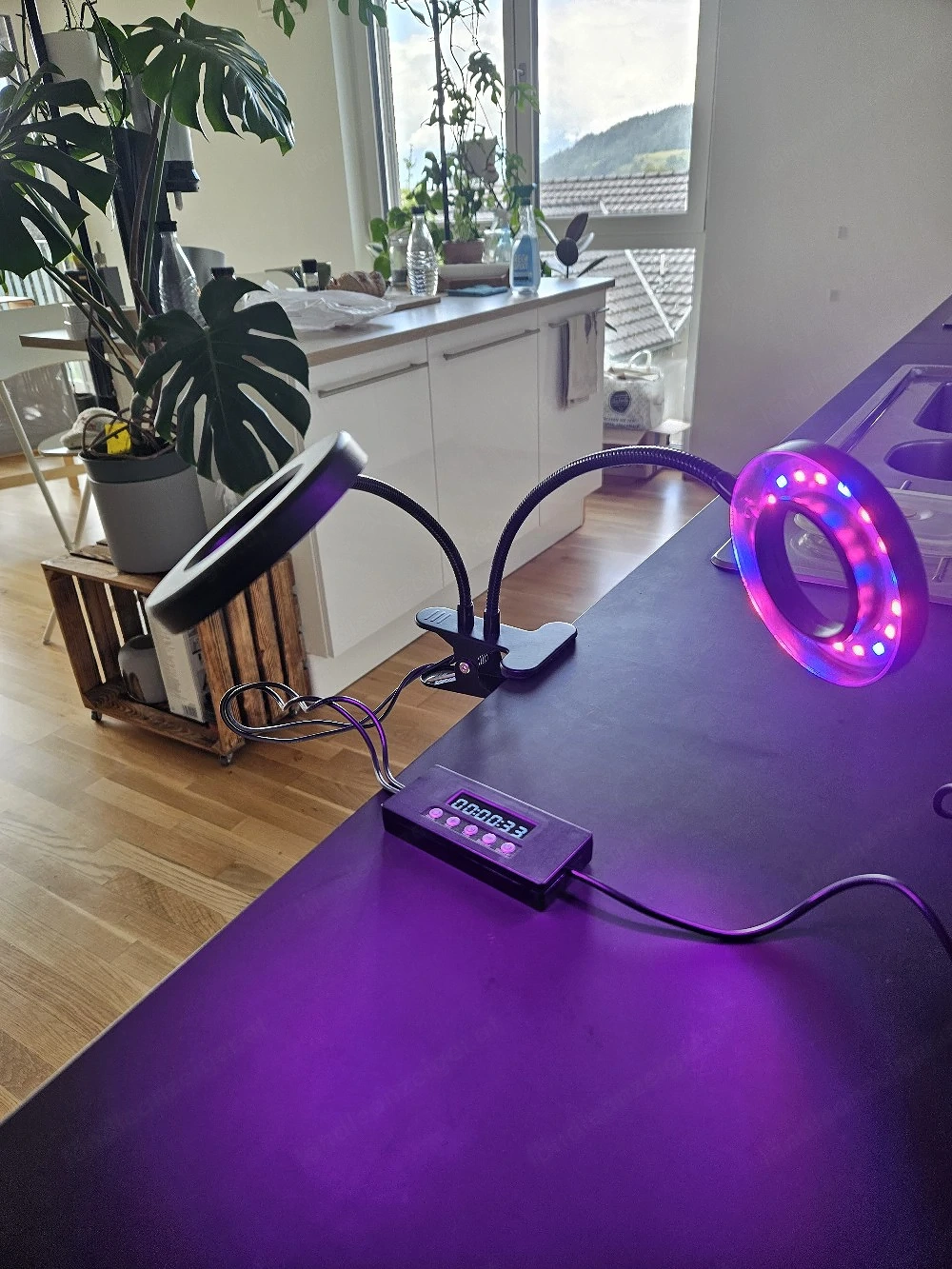 Pflanzenlampe Wachstum grow light mit Timer