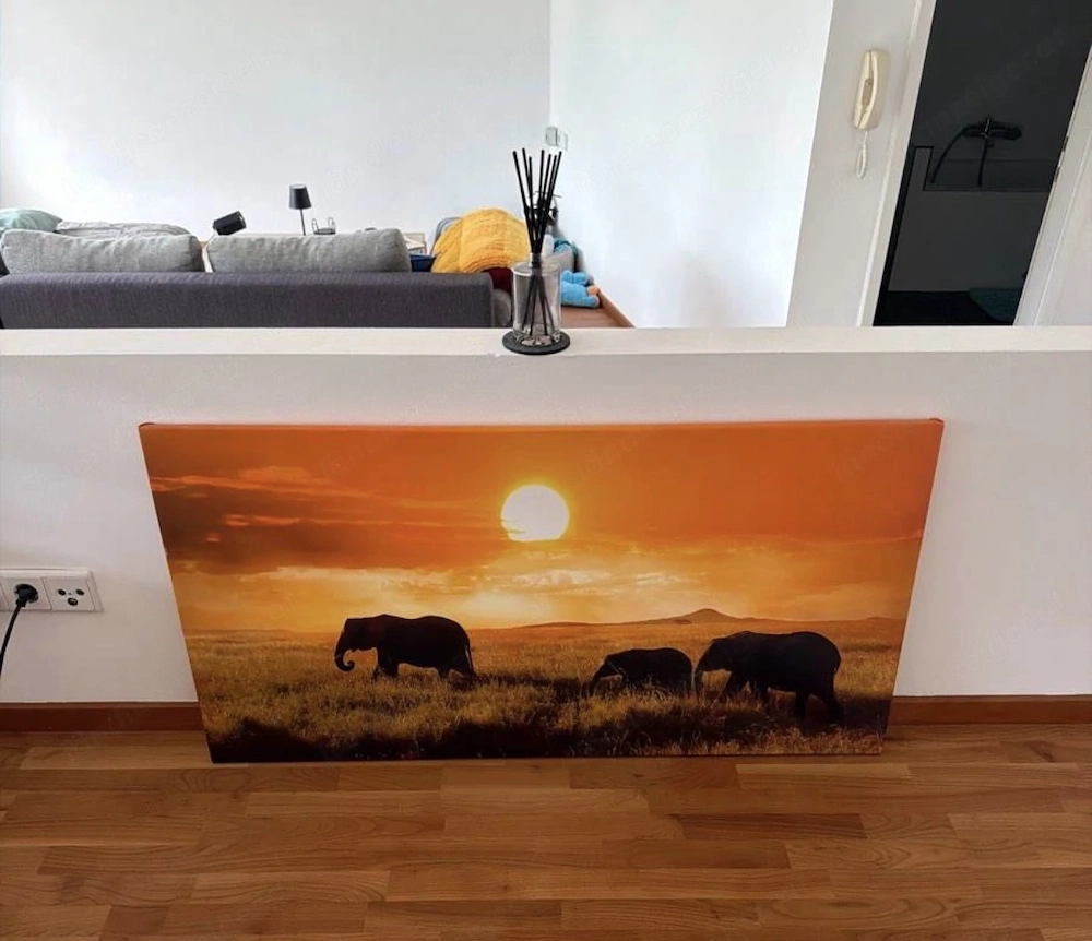 Elefantenbild