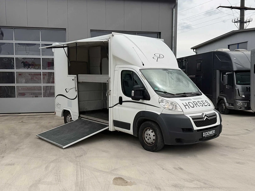Pferdetransporter 2 Ride Citroen Nur 29.200KM Viehtransporter