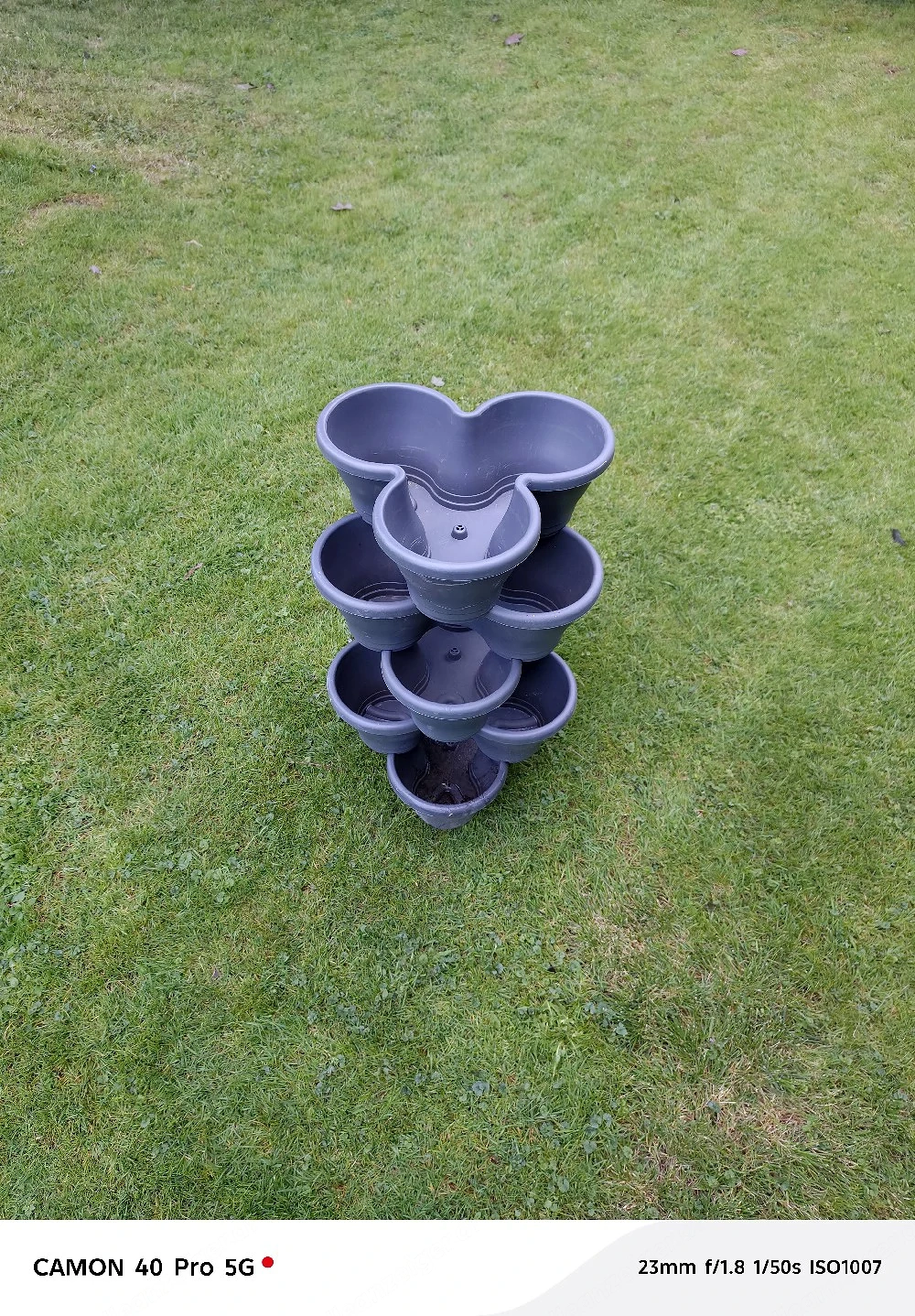 Blumen Topf 