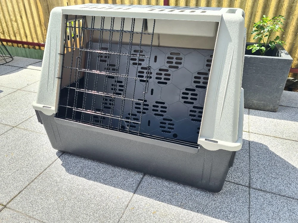 Hundebox ( mittel)