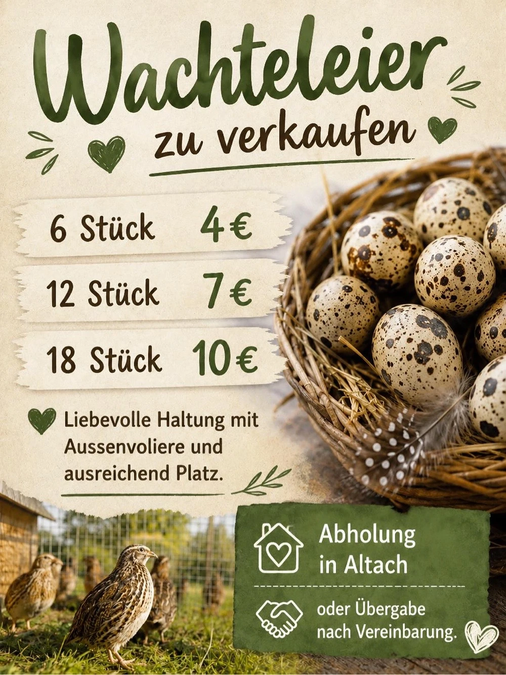 Wachteleier 