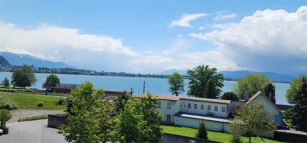 Lochau Seedomizil 3-Zi Wohnung mit vollem Seeblick