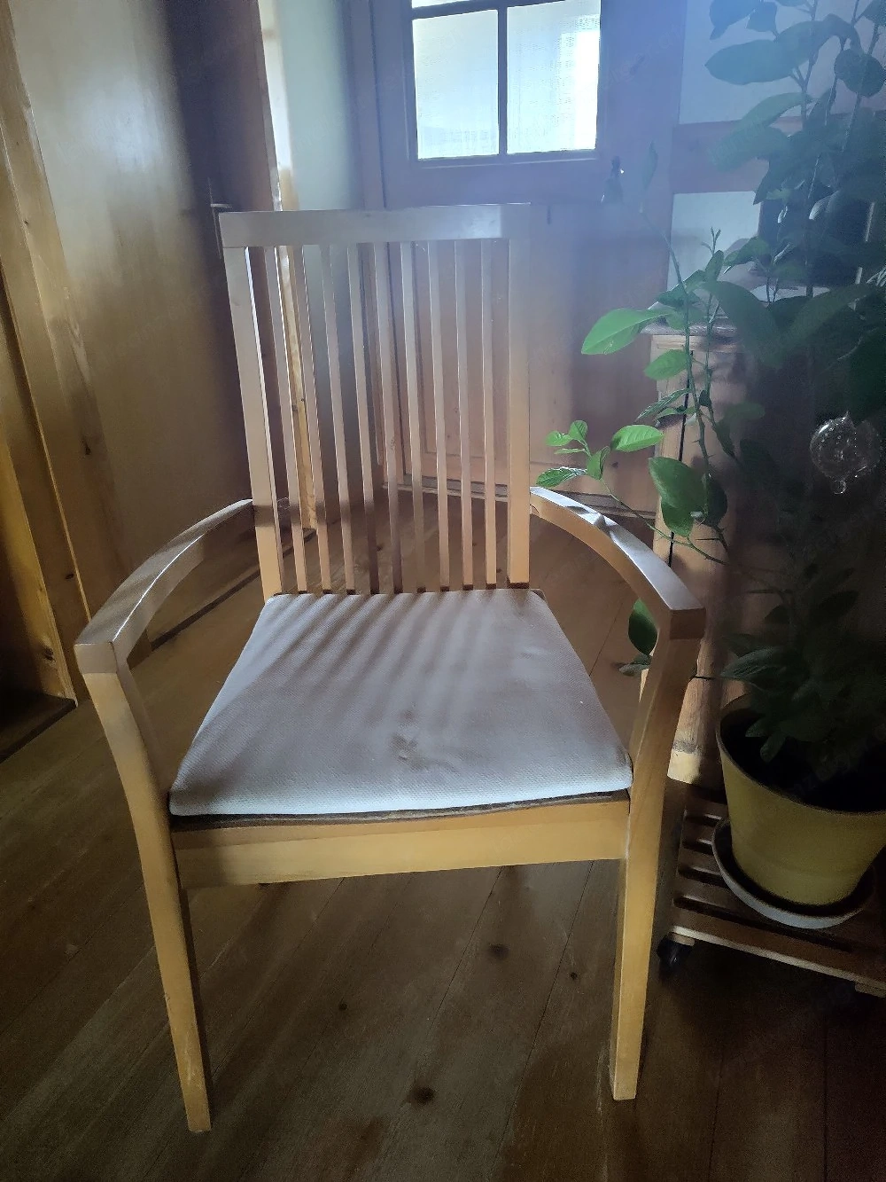 grüne erde sessel