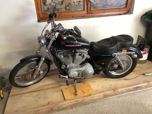 Harley-Davidson Sportster XL883C Chopper_Cruiser