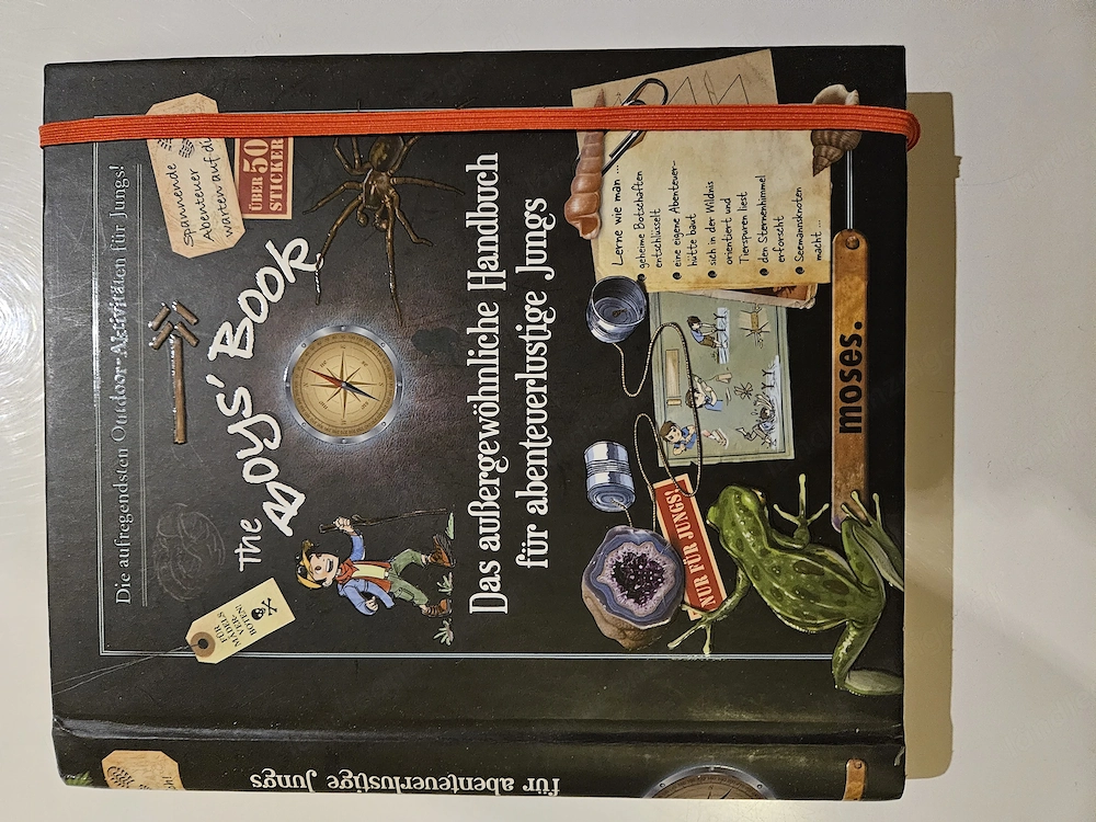 Buch The Boys' book