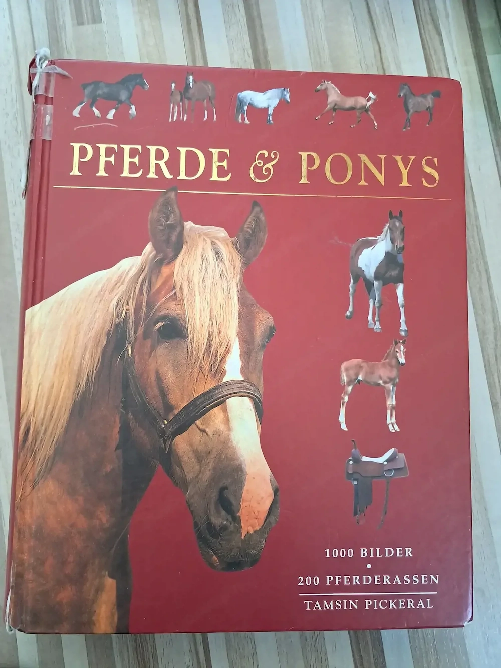 Sachbuch über Pferde gratis