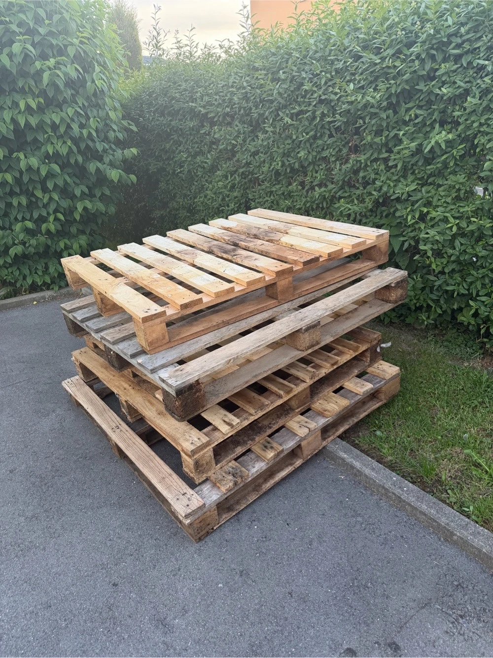 5 Paletten ca 120x100 cm GRATIS