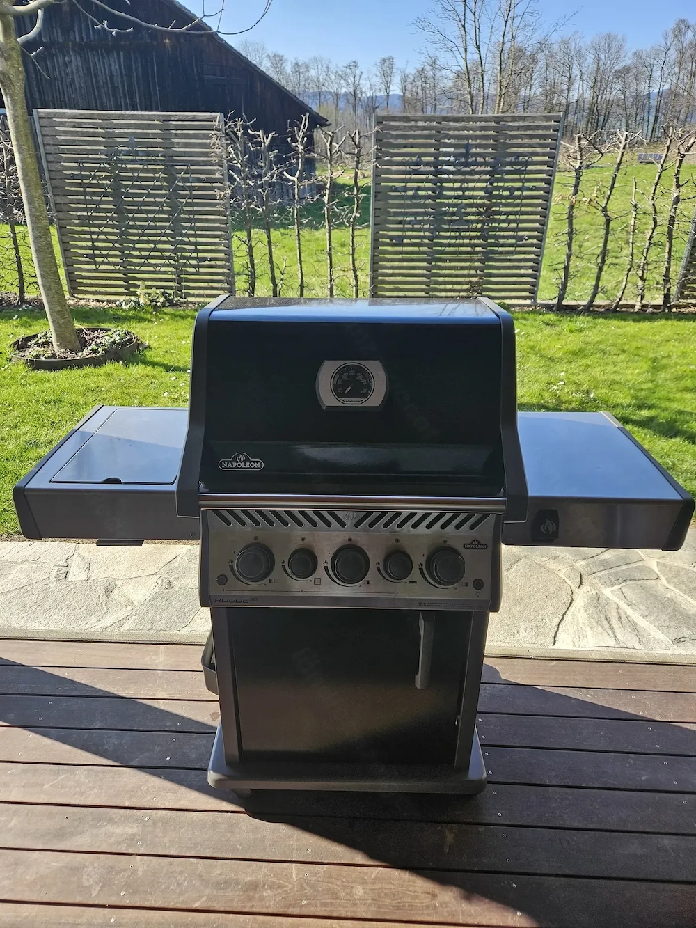 Napoleon Gasgrill