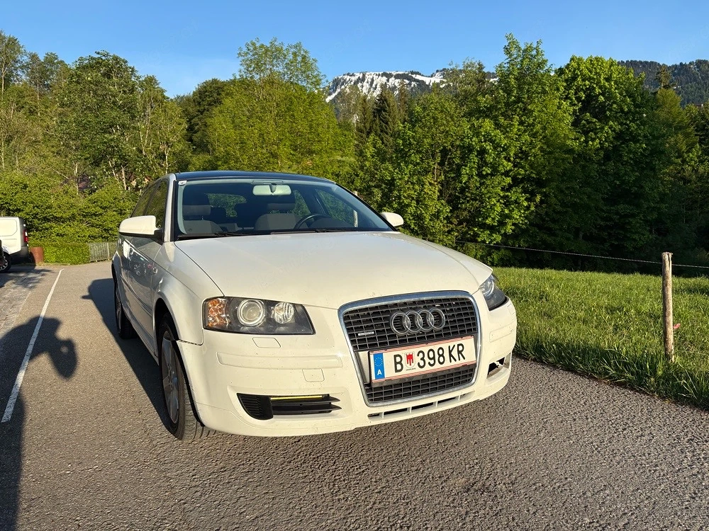 Audi A3 8P Quattro 2.0 TDI