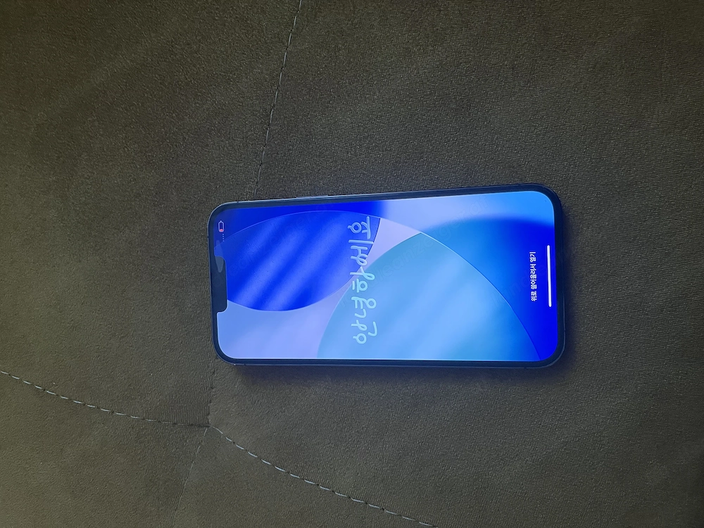 iPhone 13 Pro Max 256 GB