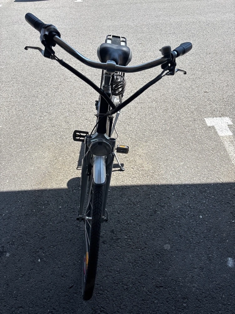 Elektro Damen fahrrad