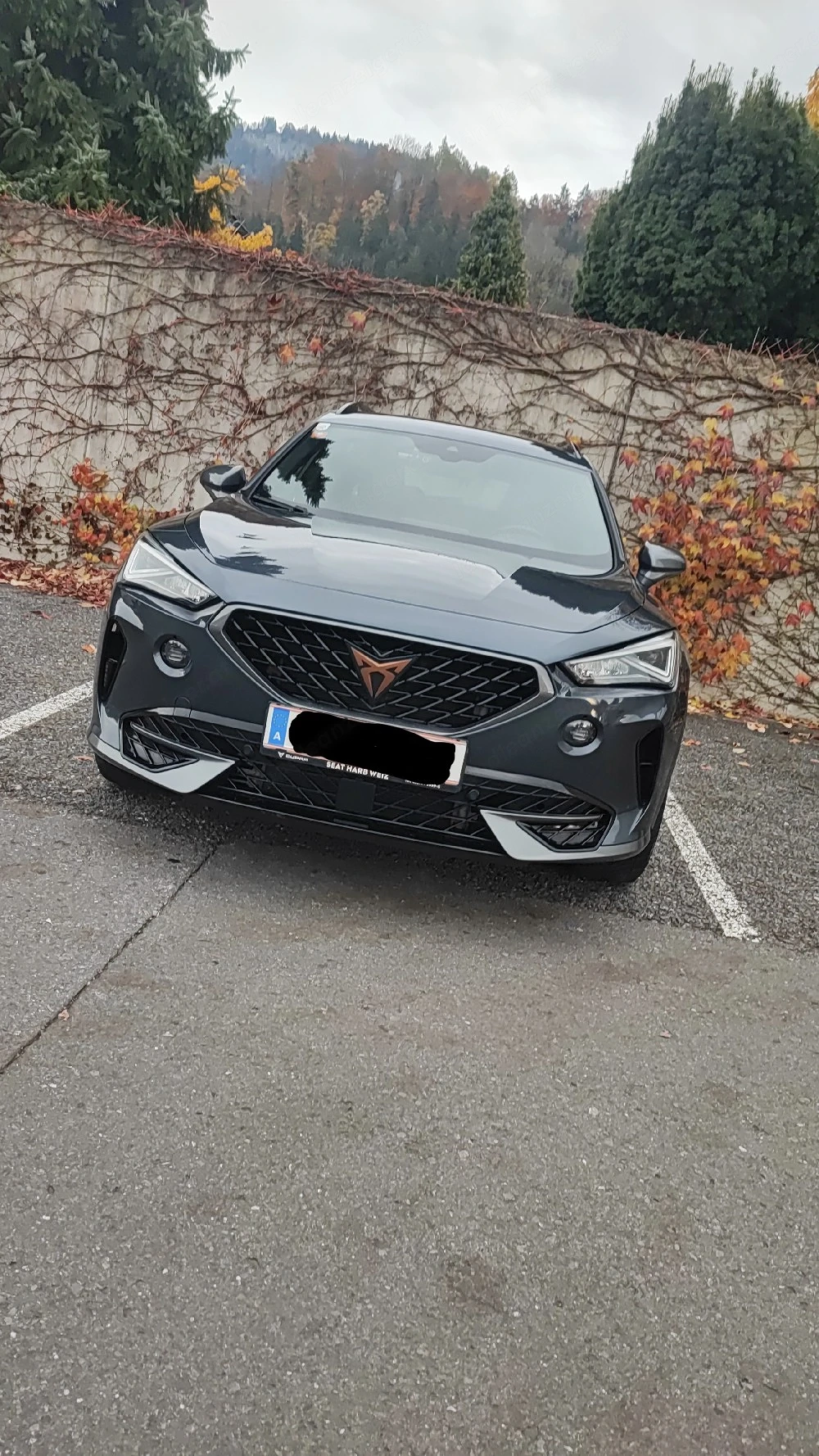 cupra formentor 1.5 Tsi Act
