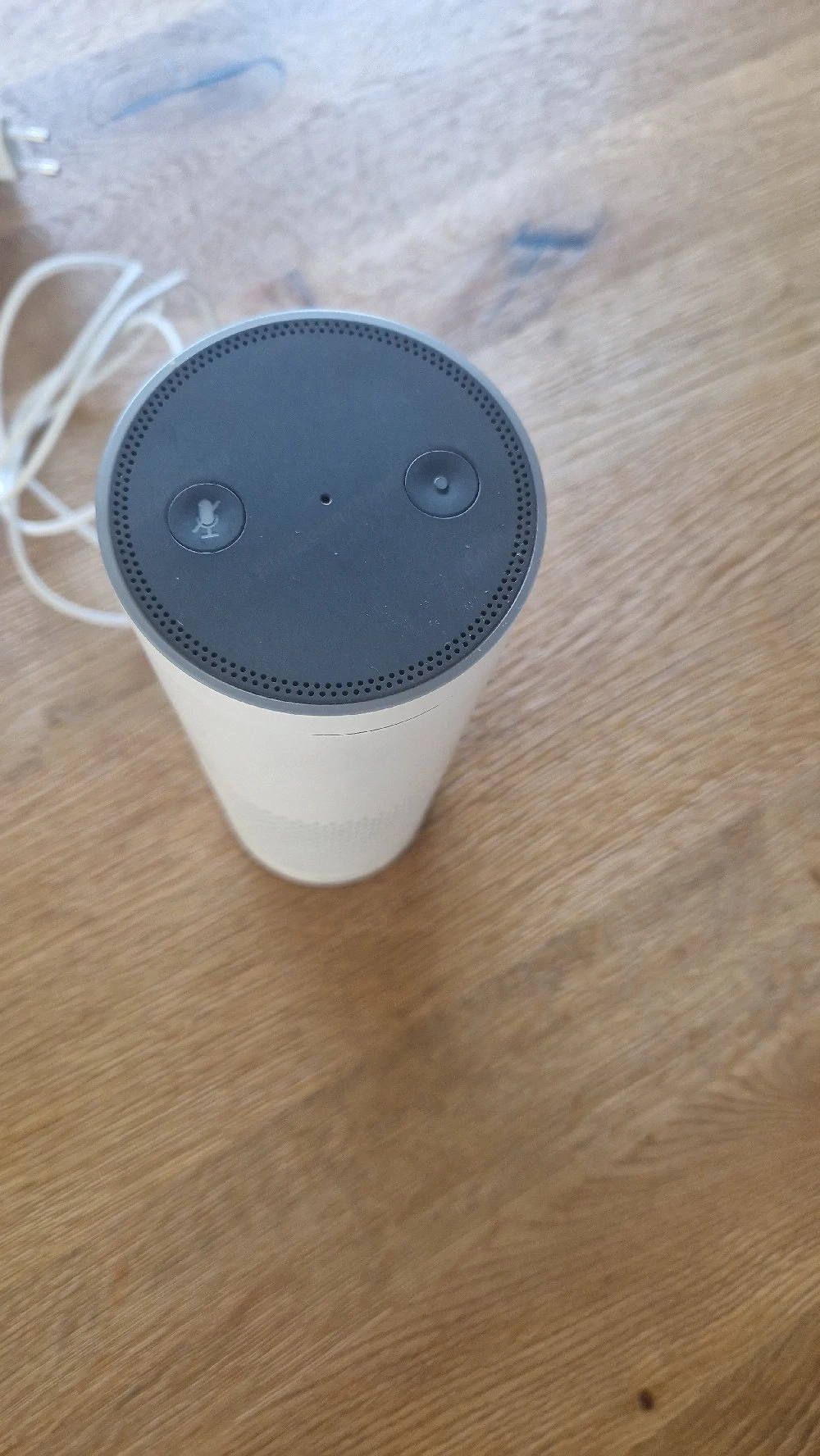 Alexa Echo plus