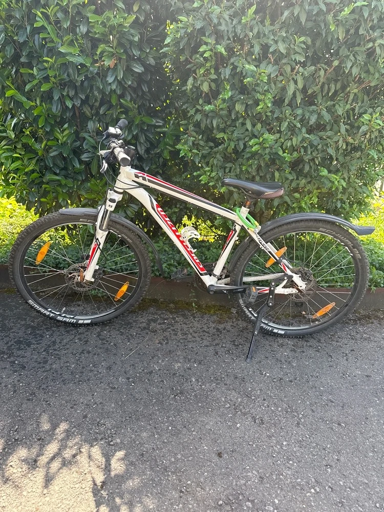Specialized Fahrrad