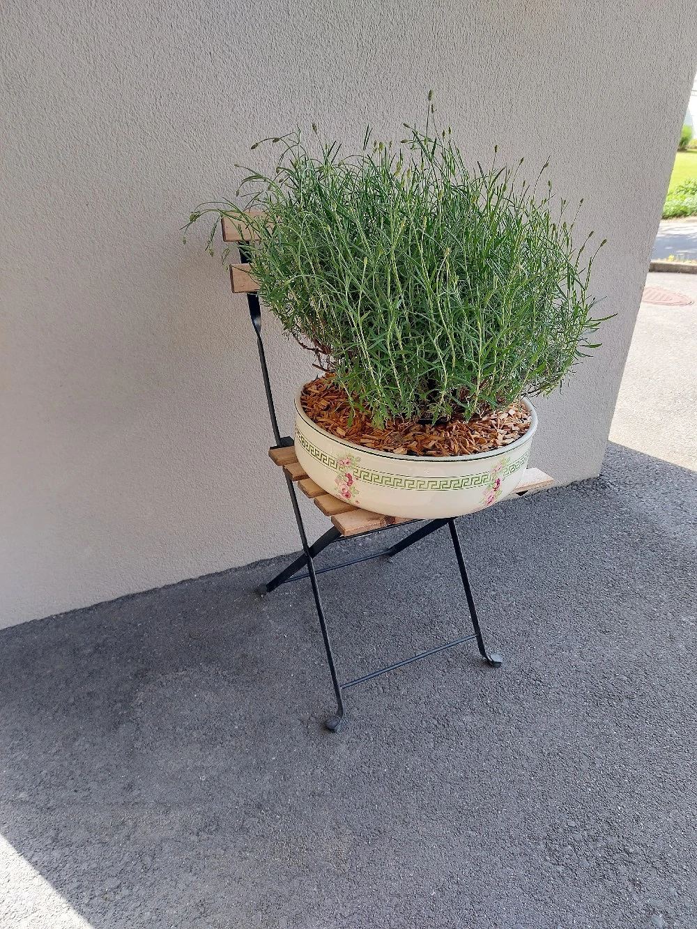 Pflanzenschale mit Lavendel