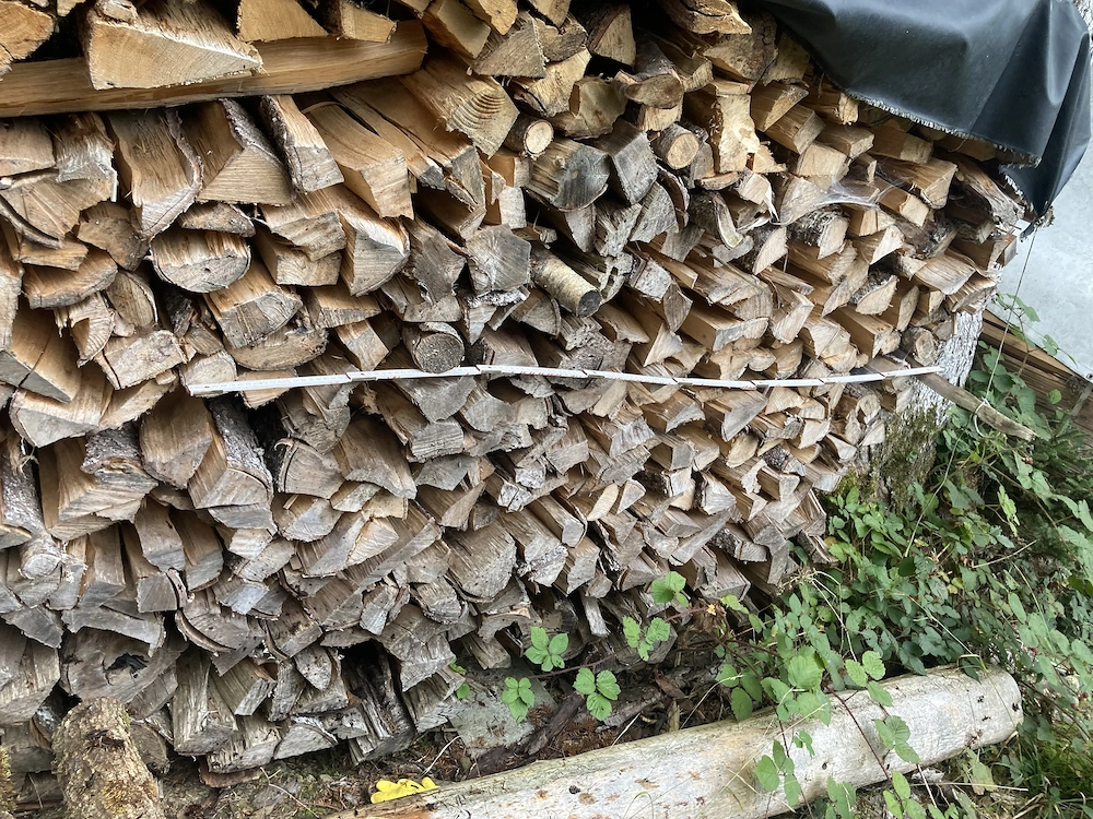 Brennholz Birke