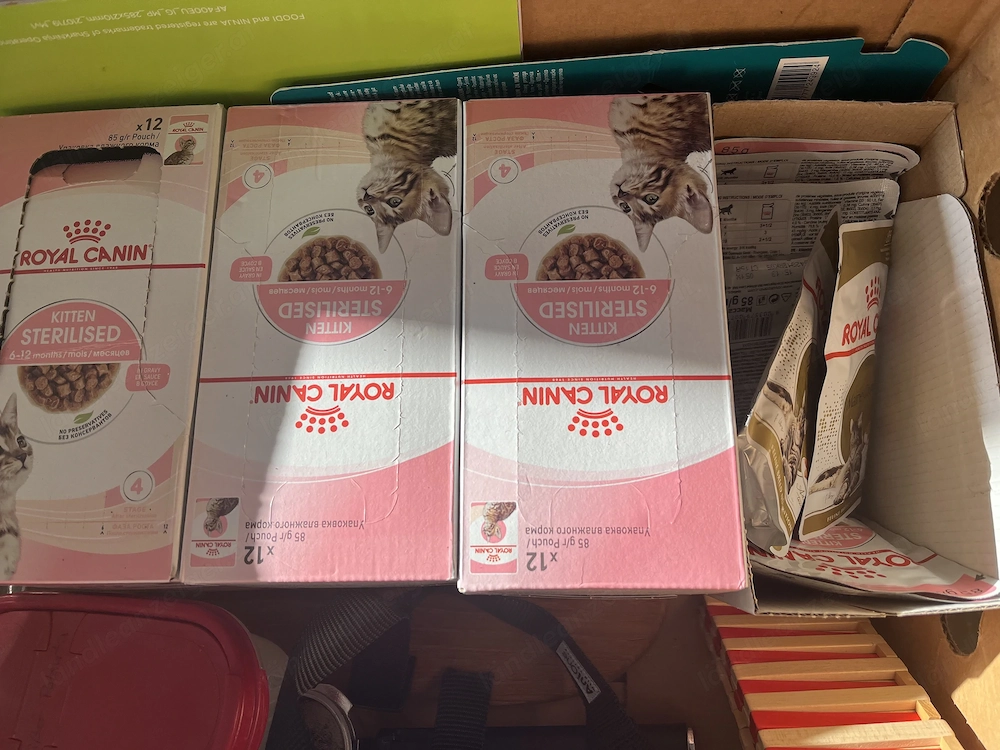 Katzenfutter Nassfutter