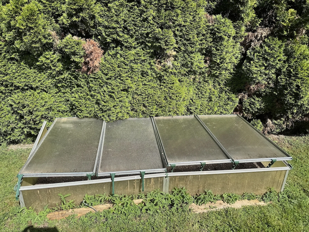 Frühbeet Juwel Biostar 1500